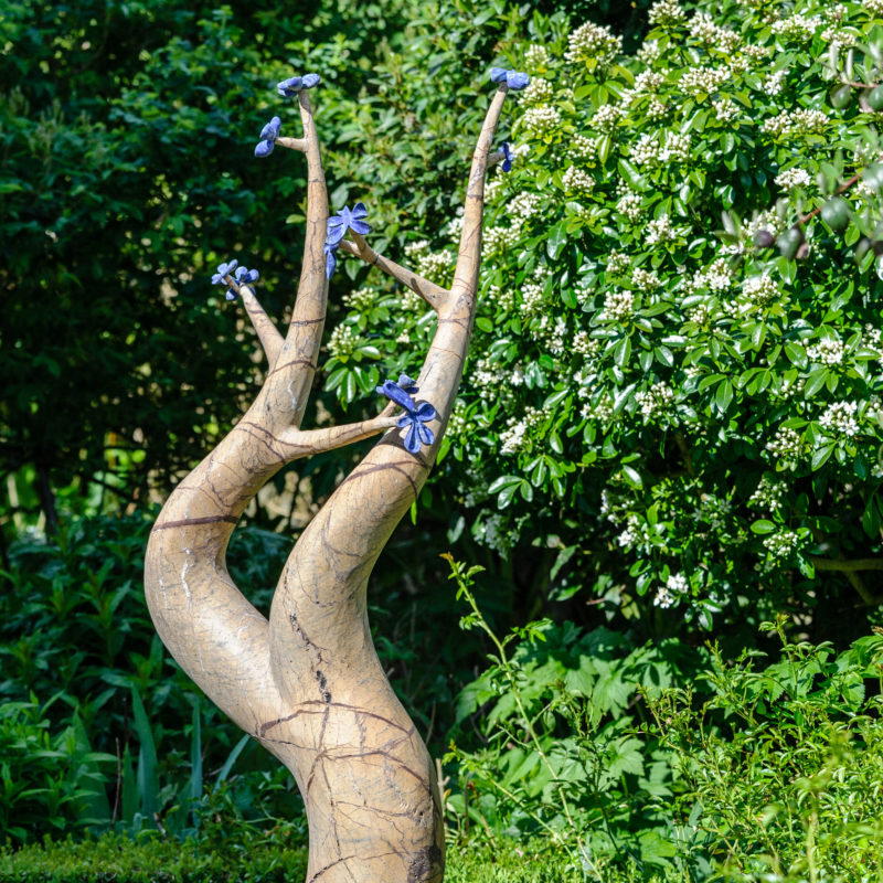 Flower Tree image