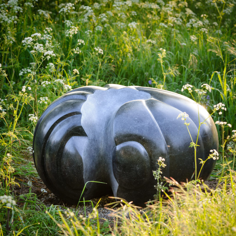 Giant Woodlouse image