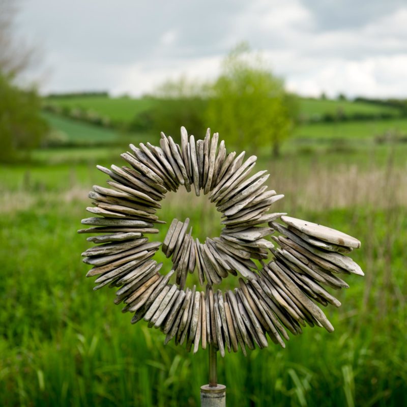 Limestone Ammonite image