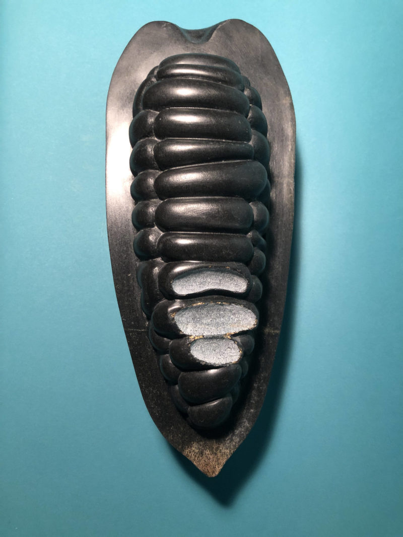 Cocoa Pod, Black image