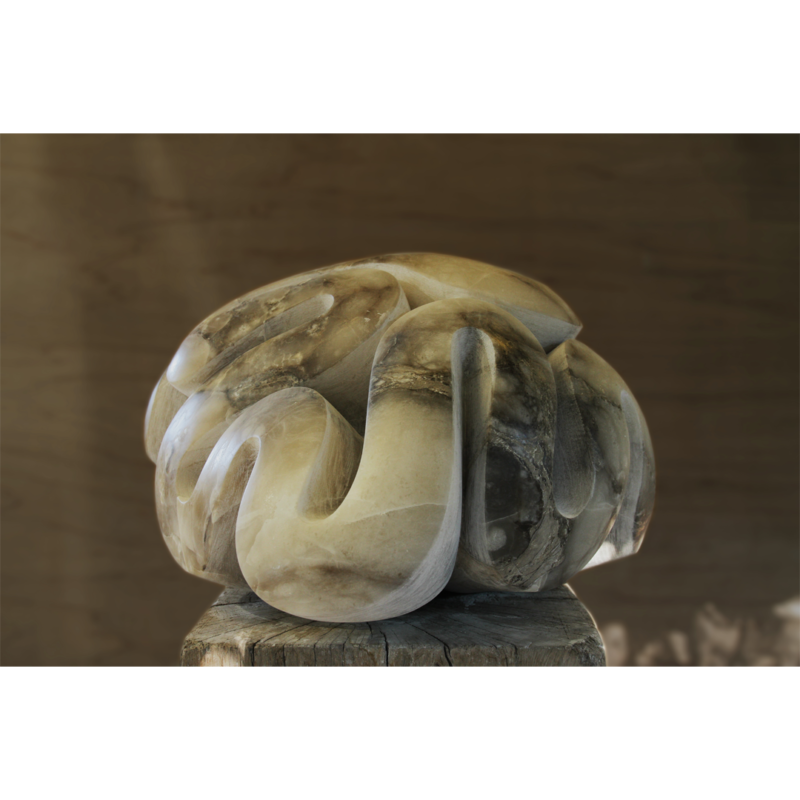 Brain Coral image
