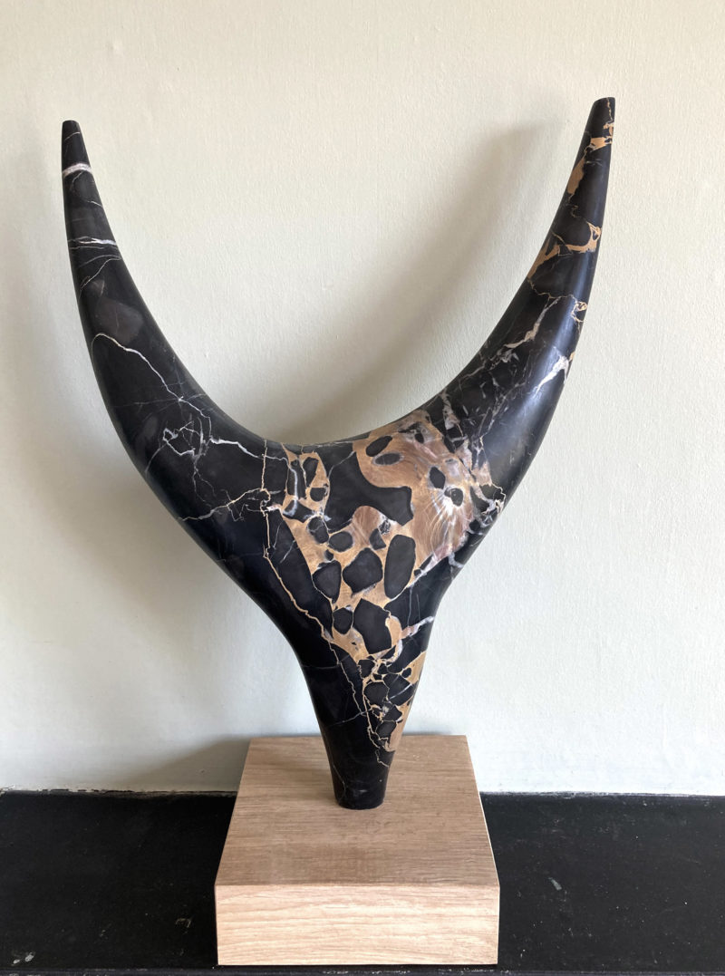 Picasso’s Horn image