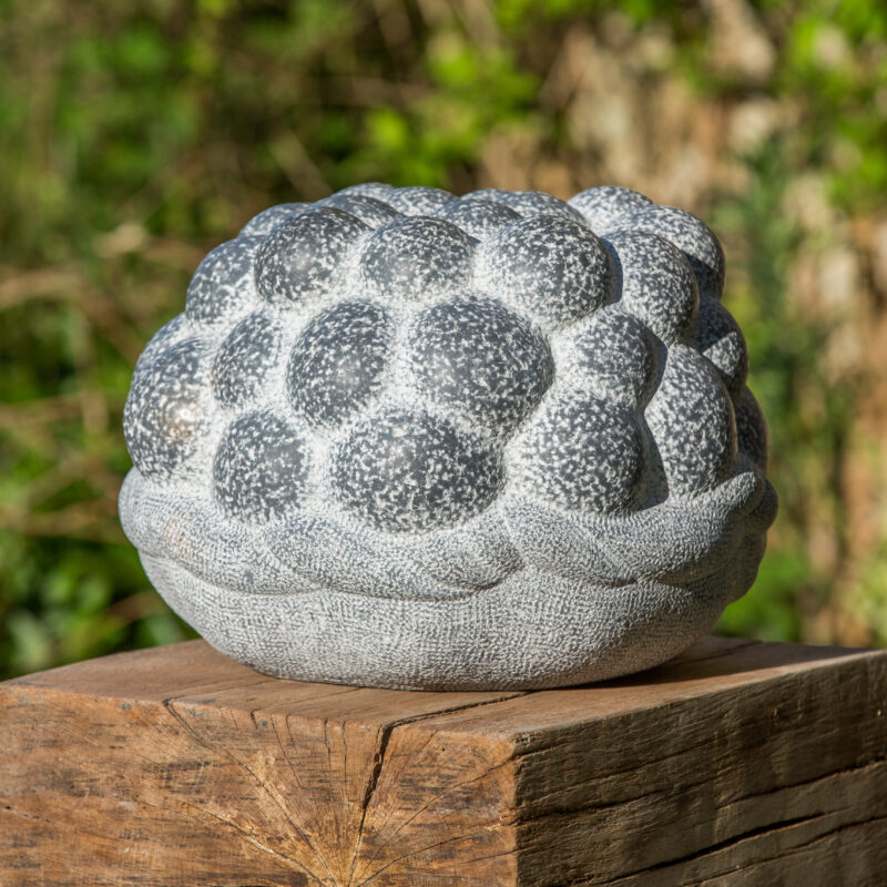 Sack of Ripe Custard Apples image