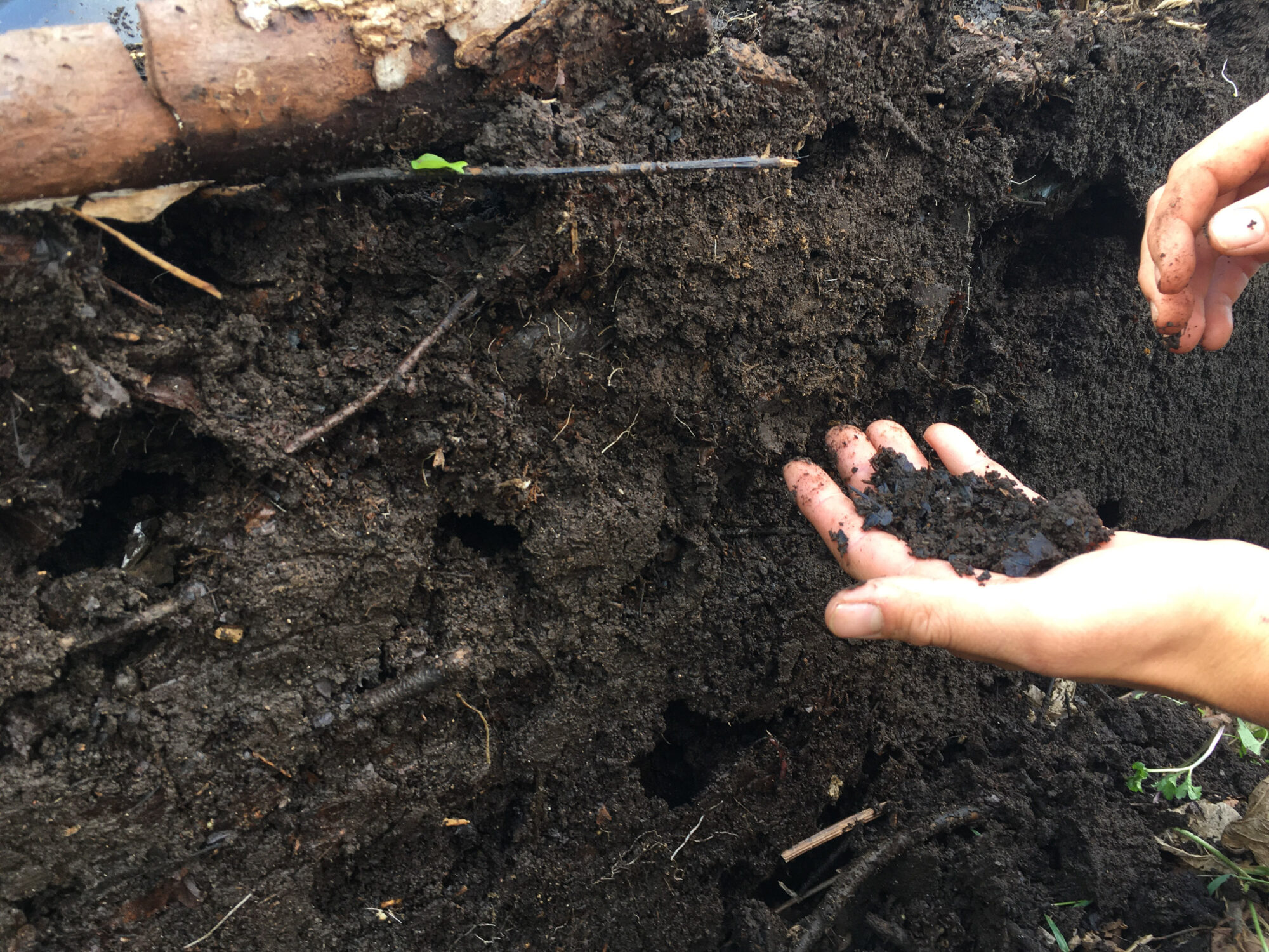 Composting Workshop: Turning Waste into Gold - Kitchen Garden Workshop