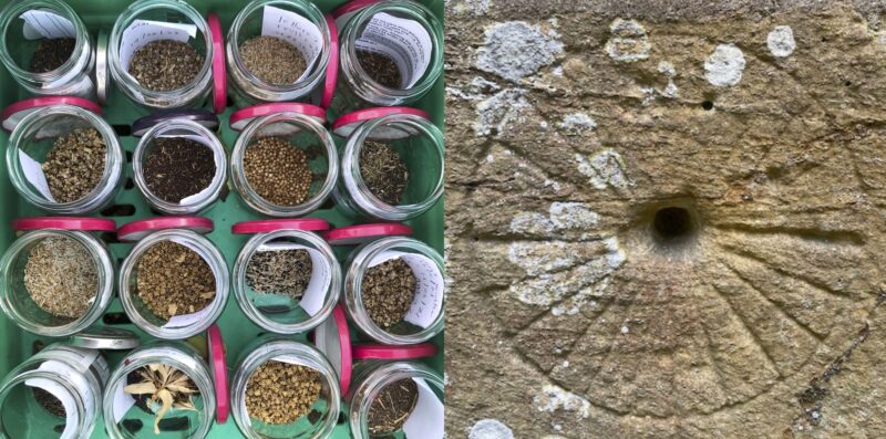 seeds in jars and an apotropaic